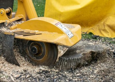 Stump Removal