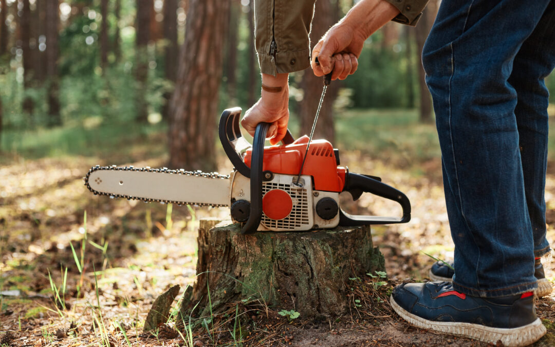 DO I NEED A LANDSCAPER OR TREE SERVICE?