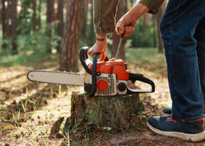 Stump Grinding