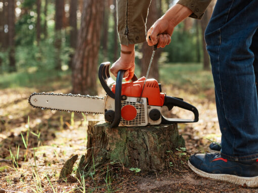 Stump Grinding